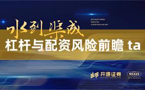 杠杆与配资风险前瞻 ta